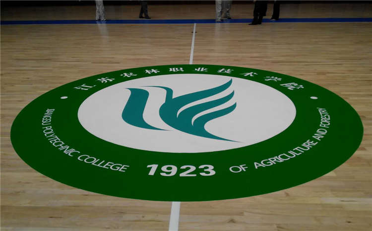 拼接板體育館實木地板板式龍骨結(jié)構(gòu)